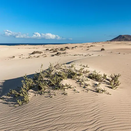 Apartment Home2book Tranquil Oasis Apt, Pool & Terrace