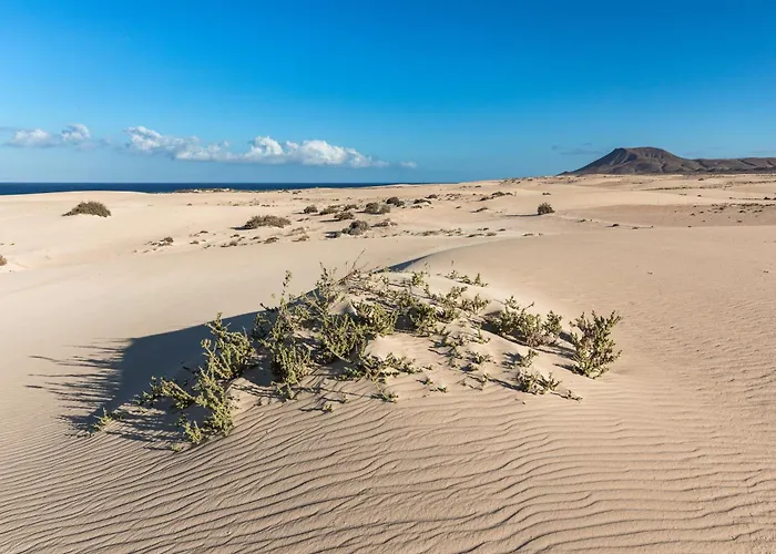 Daire Home2book Tranquil Oasis Apt, Pool & Terrace